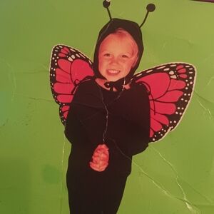 Butterfly Wings Kids Costume